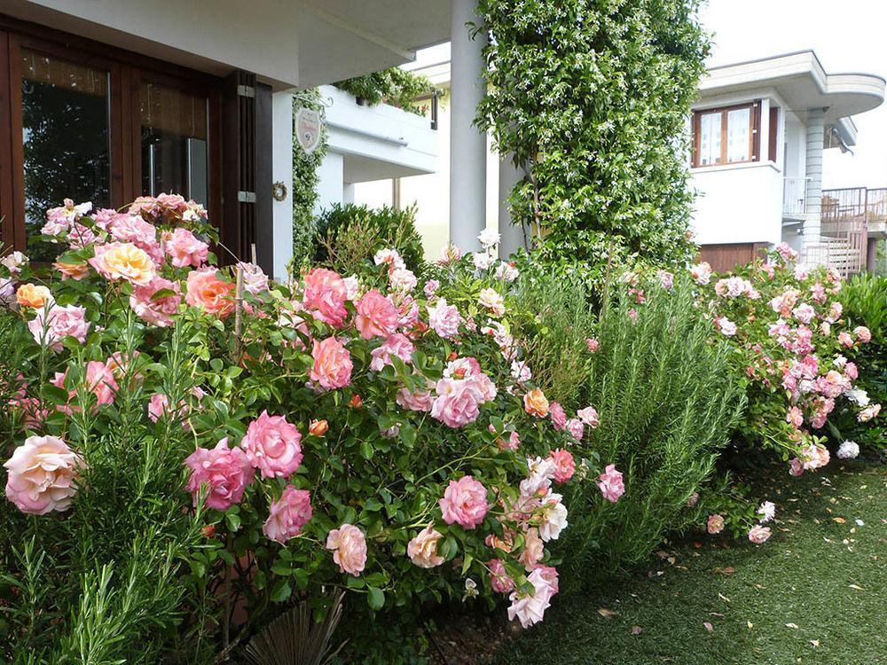 B&B Nautilus Puegnago del Garda Esterno foto
