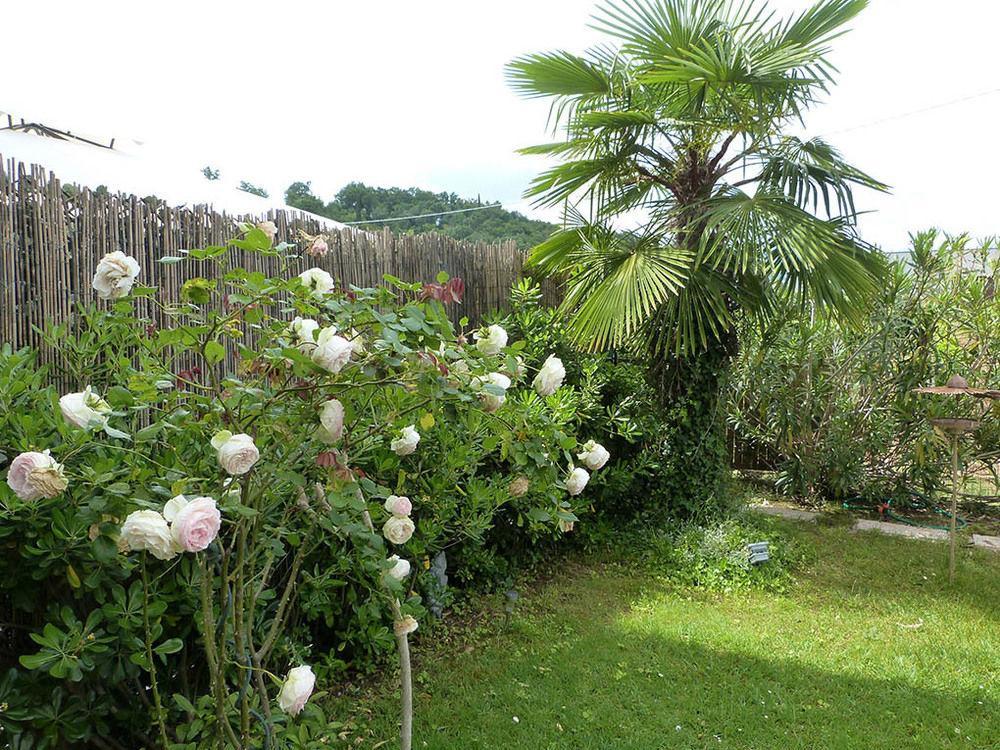B&B Nautilus Puegnago del Garda Esterno foto