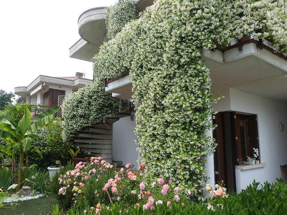 B&B Nautilus Puegnago del Garda Esterno foto